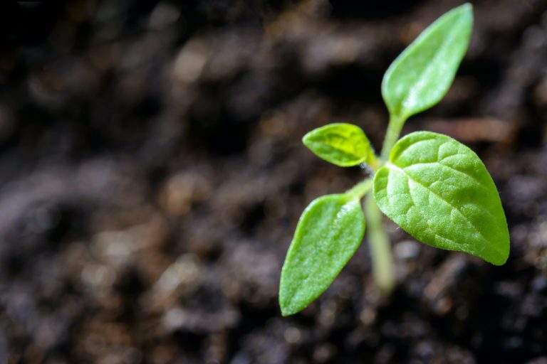 Growth-scaled